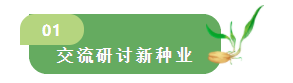 4749今晚开奖结果